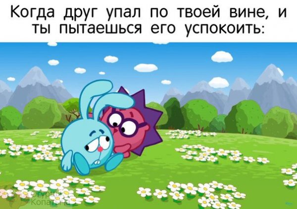 Мемы про смешариков