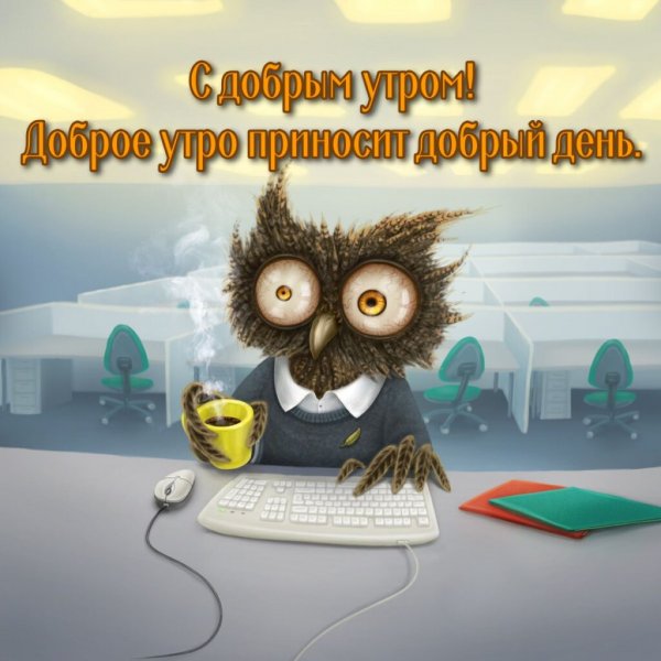 Невыспавшаяся Сова