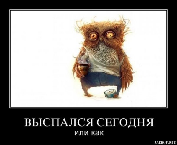 Выспалась картинки