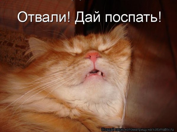 Дай поспать