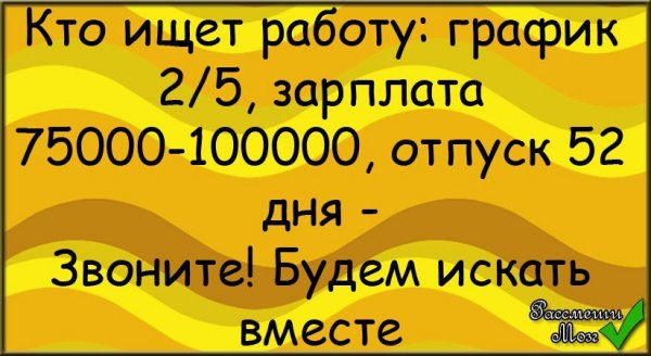Шутки про работу и зарплату