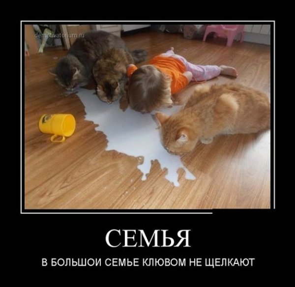 Демотиваторы смешные