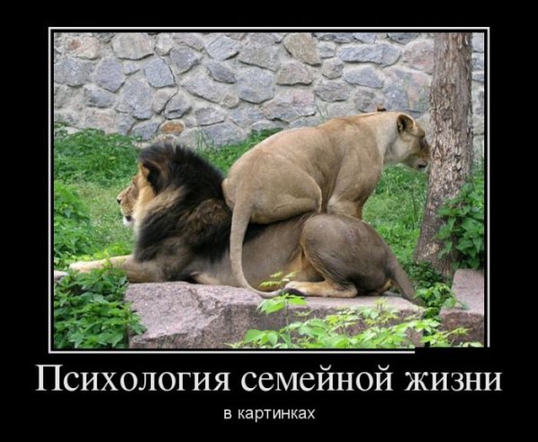 Демотиваторы психологические
