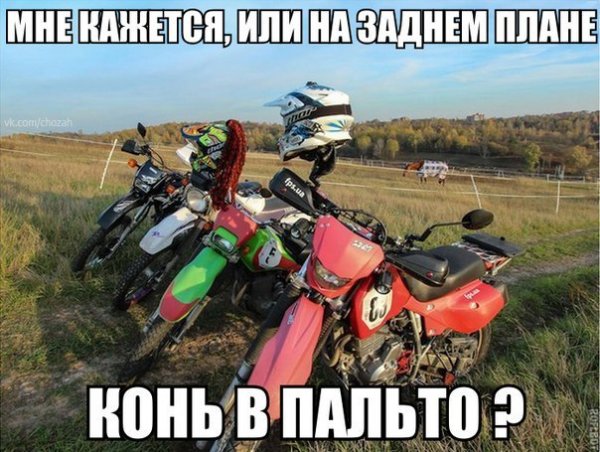 Приколы про мотоциклистов