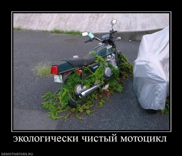 Демотиваторы про мотоциклы