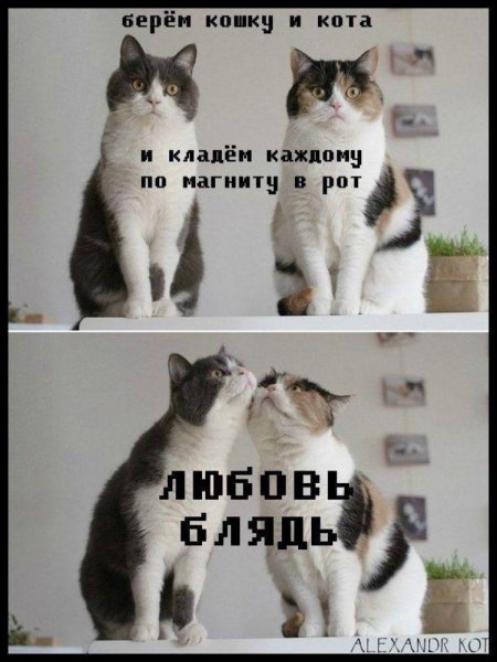 Прикольные про любовь