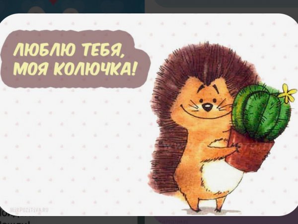 Прикольные открытки любимому