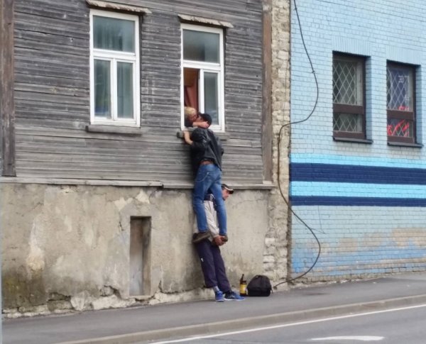Угарные картинки без надписей