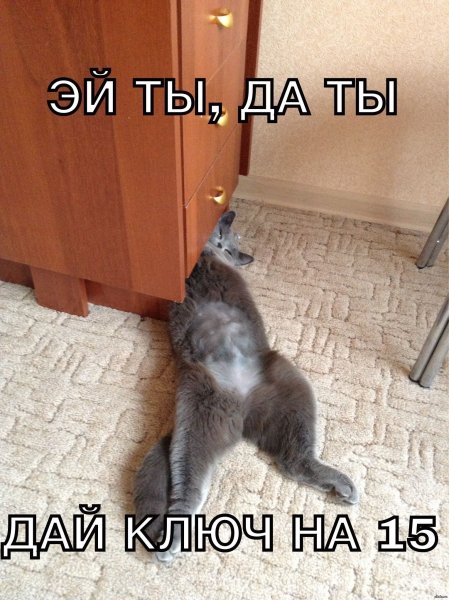 Ржачные картинки с надписями