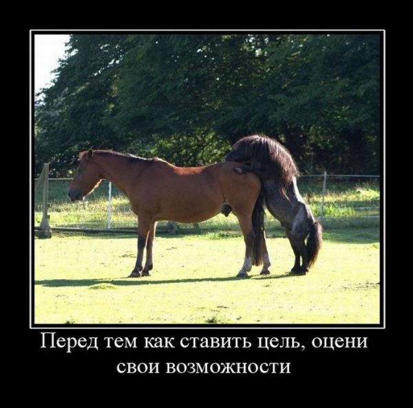 Прикольные демотиваторы