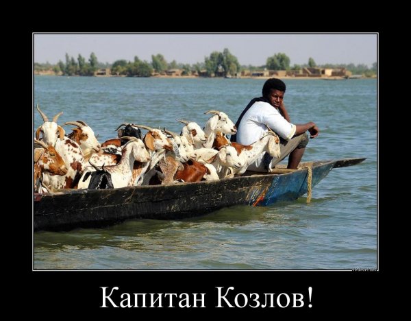 Приколы про отдых
