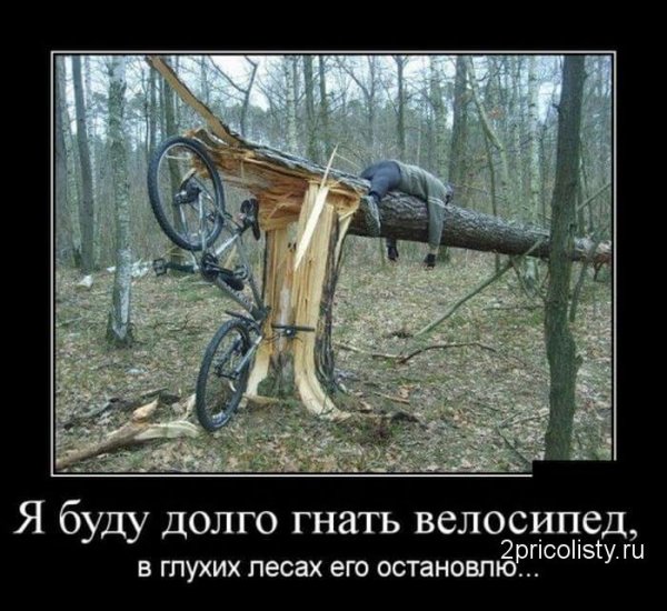 Приколы про пьянку