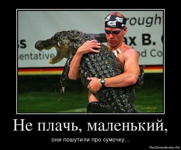 Французский бульдог в костюме