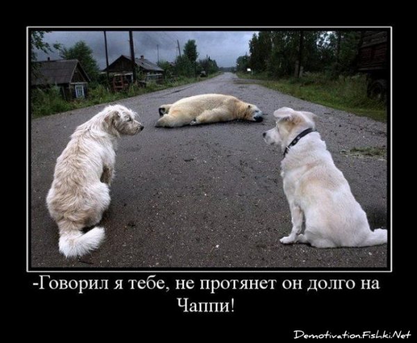 Демотиваторы про любовь смешные