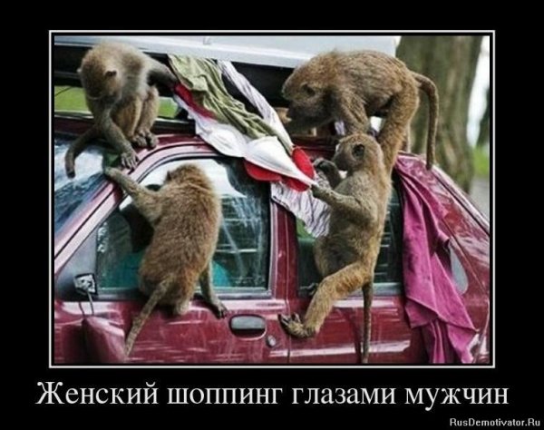 Угарные демотиваторы
