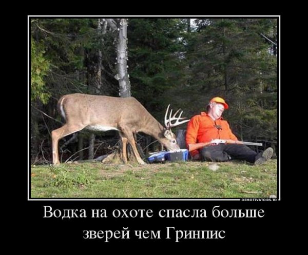 Демотиваторы ржачные