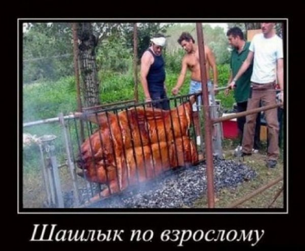 Любовь зла демотиватор