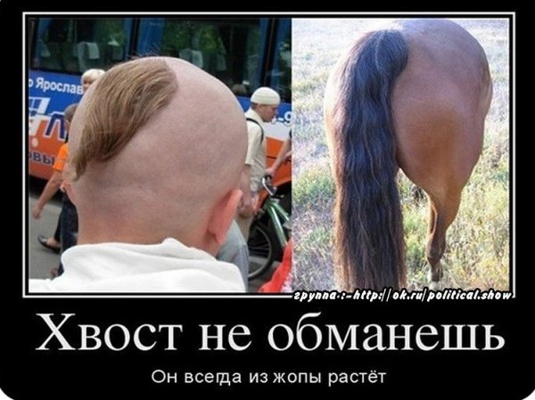 Шутки про хвост
