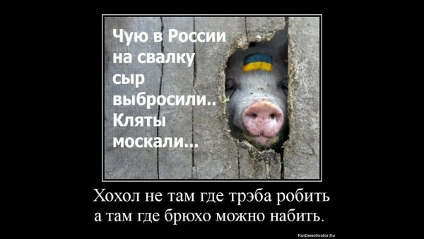 Приколы про Хохлов
