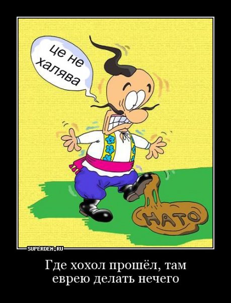 Хохлы приколы