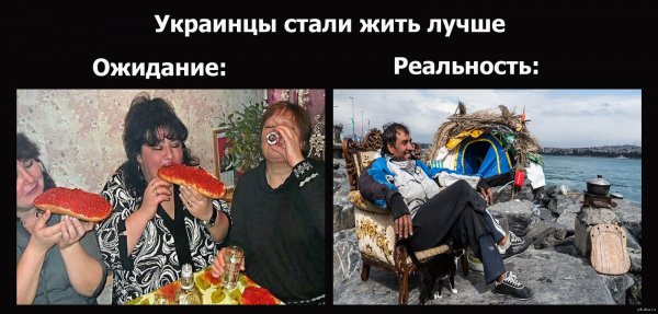 Хохлы карикатуры