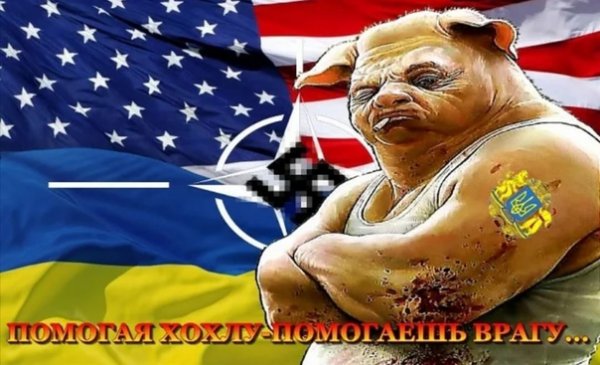 Черный хохол