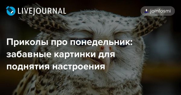 Воскресенье картинки прикольные