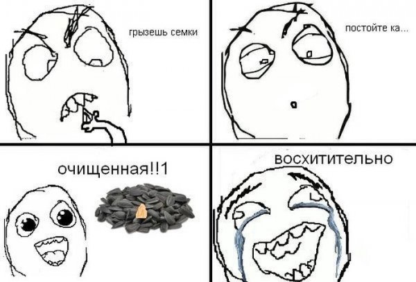 Говорят друзья на дороге не валяются с моими бывает всякое