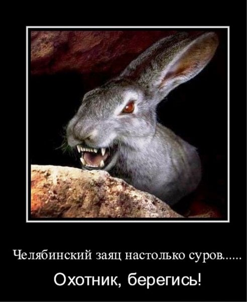 Кролик демотиватор