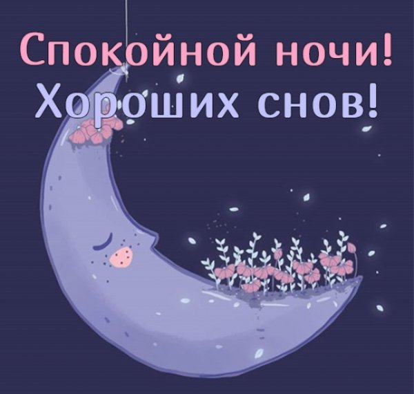 Спокойной ночи шутка