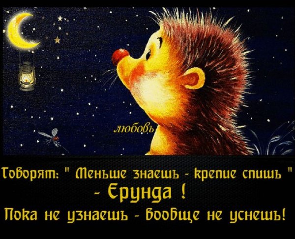 Смешные пожелания спокойной ночи