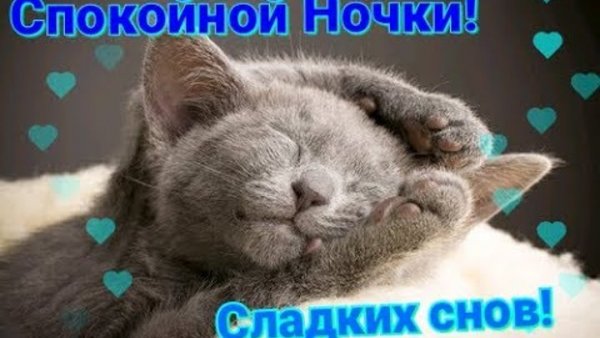 Гифы спокойной ночи прикольные