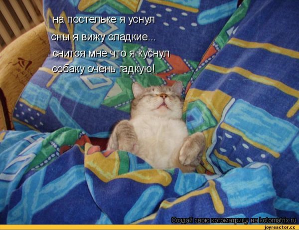 Сладких снов мой друг