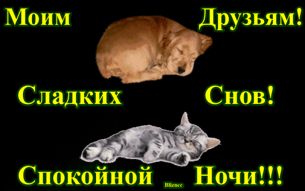 Добрых снов прикольные