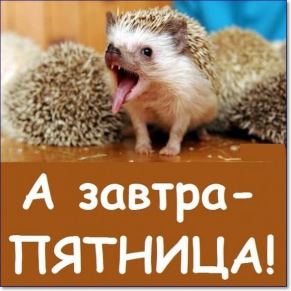 Скоро пятница