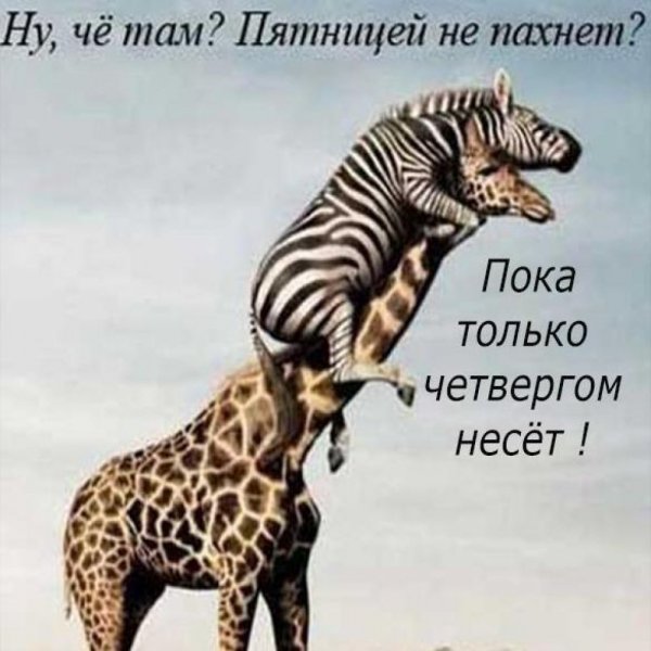 Четверг картинки смешные