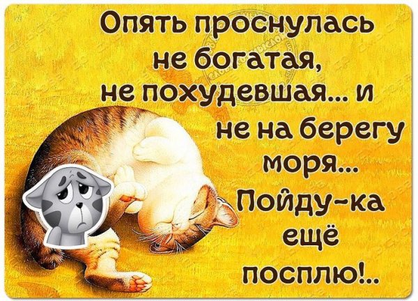 Цитаты про четверг смешные