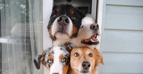 Позитивчик для поднятия настроения