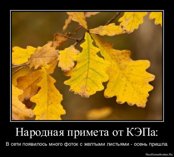 Шутки про осень