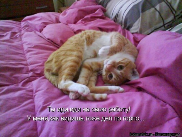 Соскучилась смешные картинки
