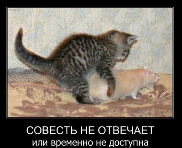 Смешные картинки с матом