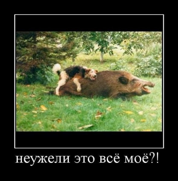 Нецензурные демотиваторы