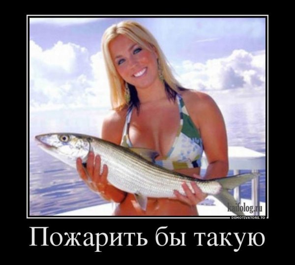 Приколы про баб