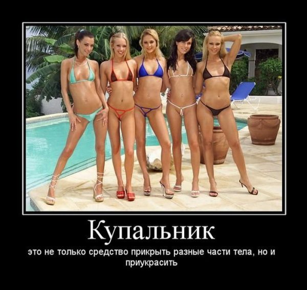 Демотиваторы про дошик