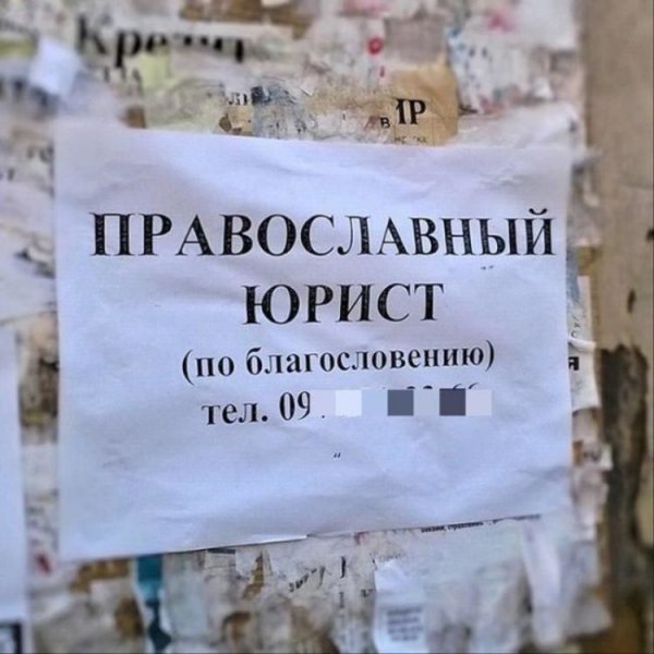 Шутки про юристов