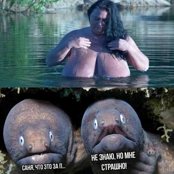 Смешная ржака