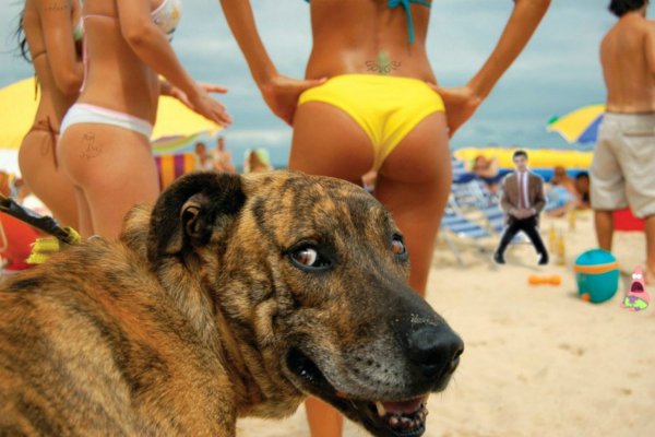 Смешные приколы про людей до слёз