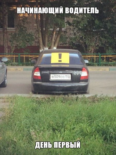 Начинающий водитель смешное