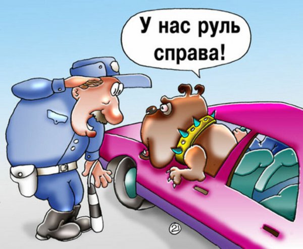 Карикатуры на водителей смешные