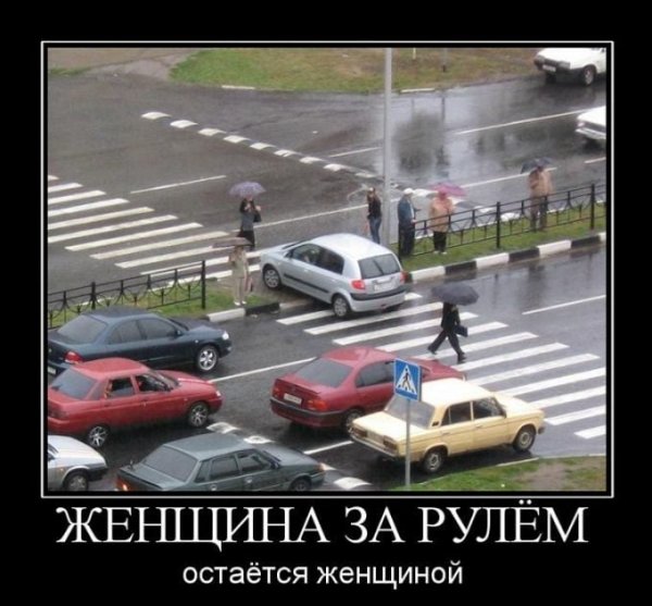 Приколы про вождение